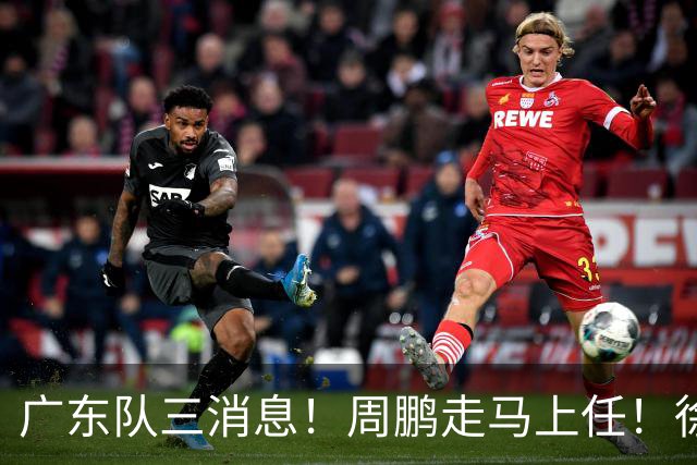 广东队三消息！周鹏走马上任！徐昕即将回归！徐杰留队奎因跑路